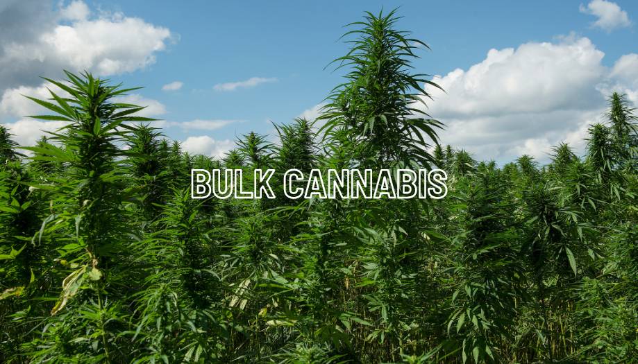 Bulk Cannabis