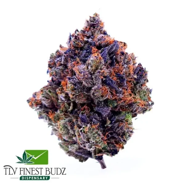 Black Tuna Strain