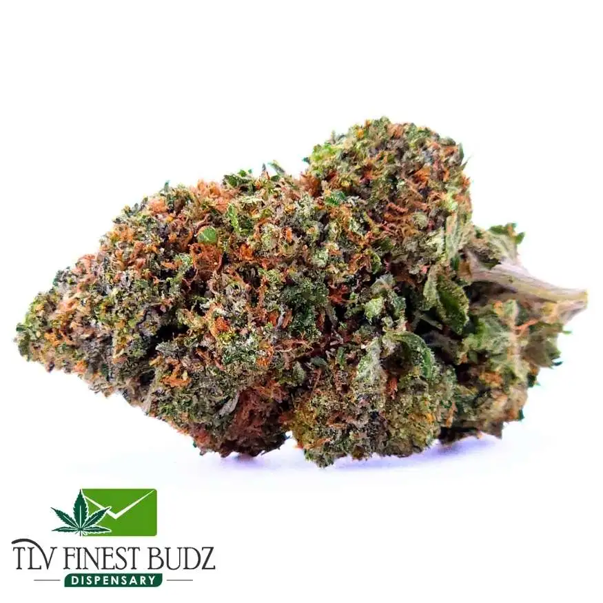 Nightmare Fuel Strain