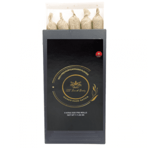 Mango Haze Pre-Rolls