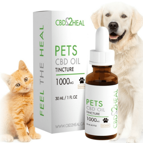 Cat CBD Oil Salmon