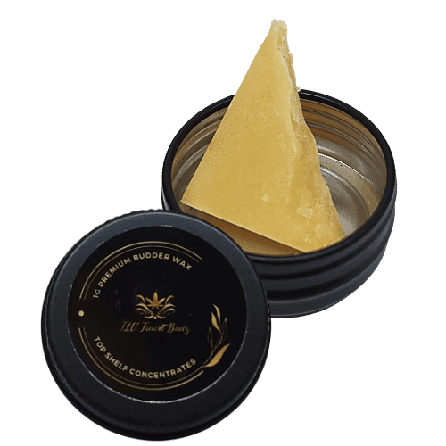 Concentrate Mail Order Canada