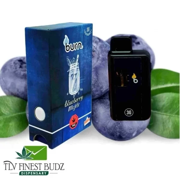 Blueberry Mojito Disposable Vape