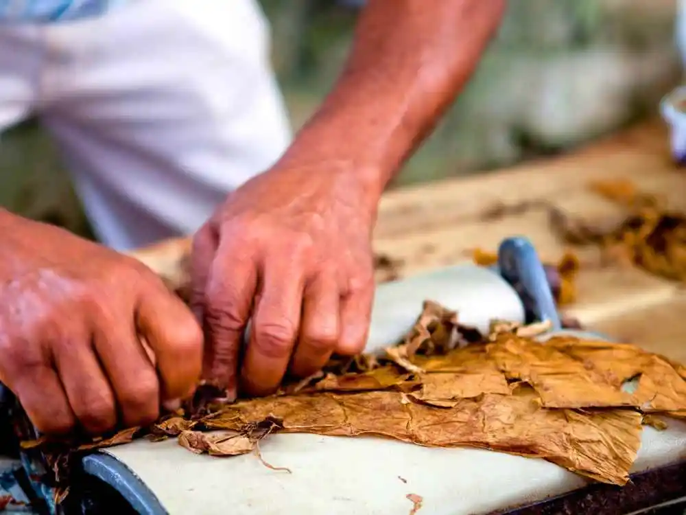 History Of Backwoods Cigars