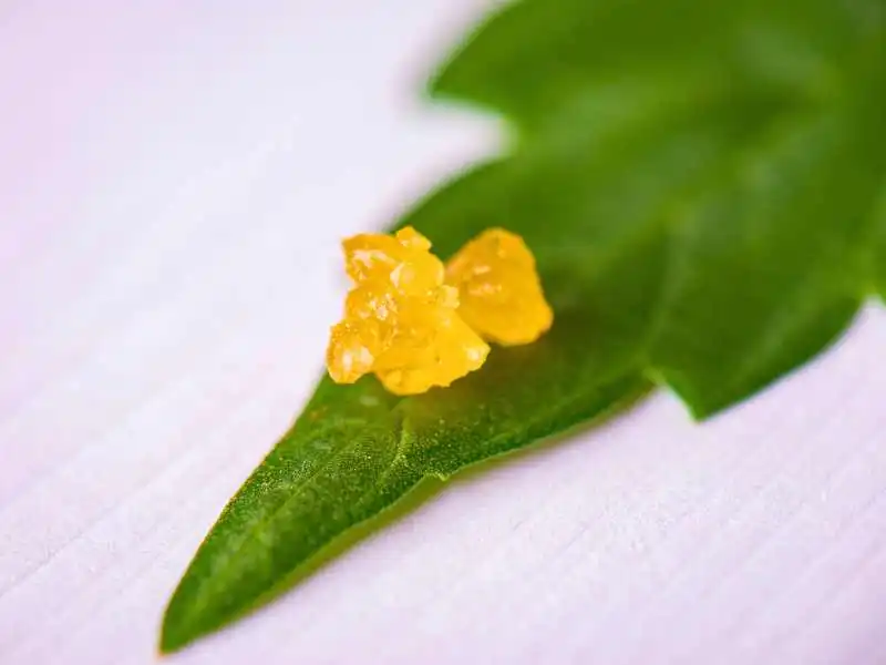 Live Resin vs Shatter