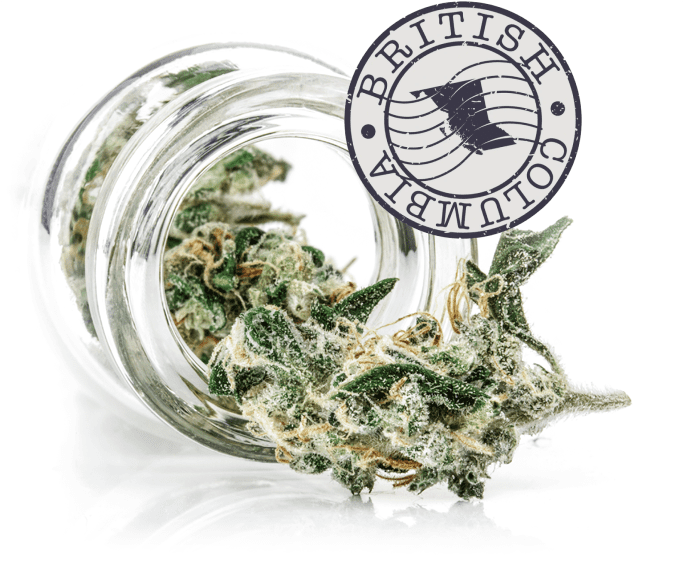 Weed Delivery Richmond Hill