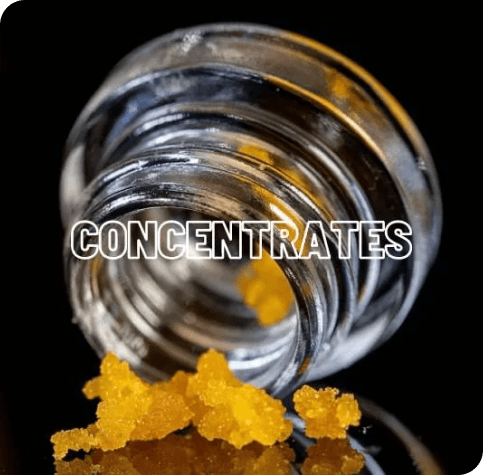 Weed Delivery north York