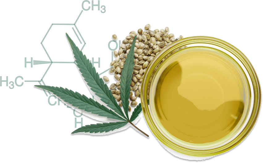 Weed Delivery north York