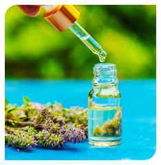 Weed Delivery north York