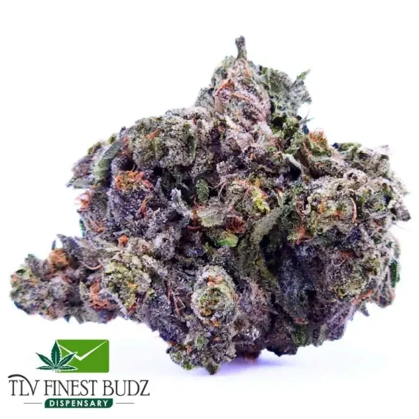 Pink Wifi Bud