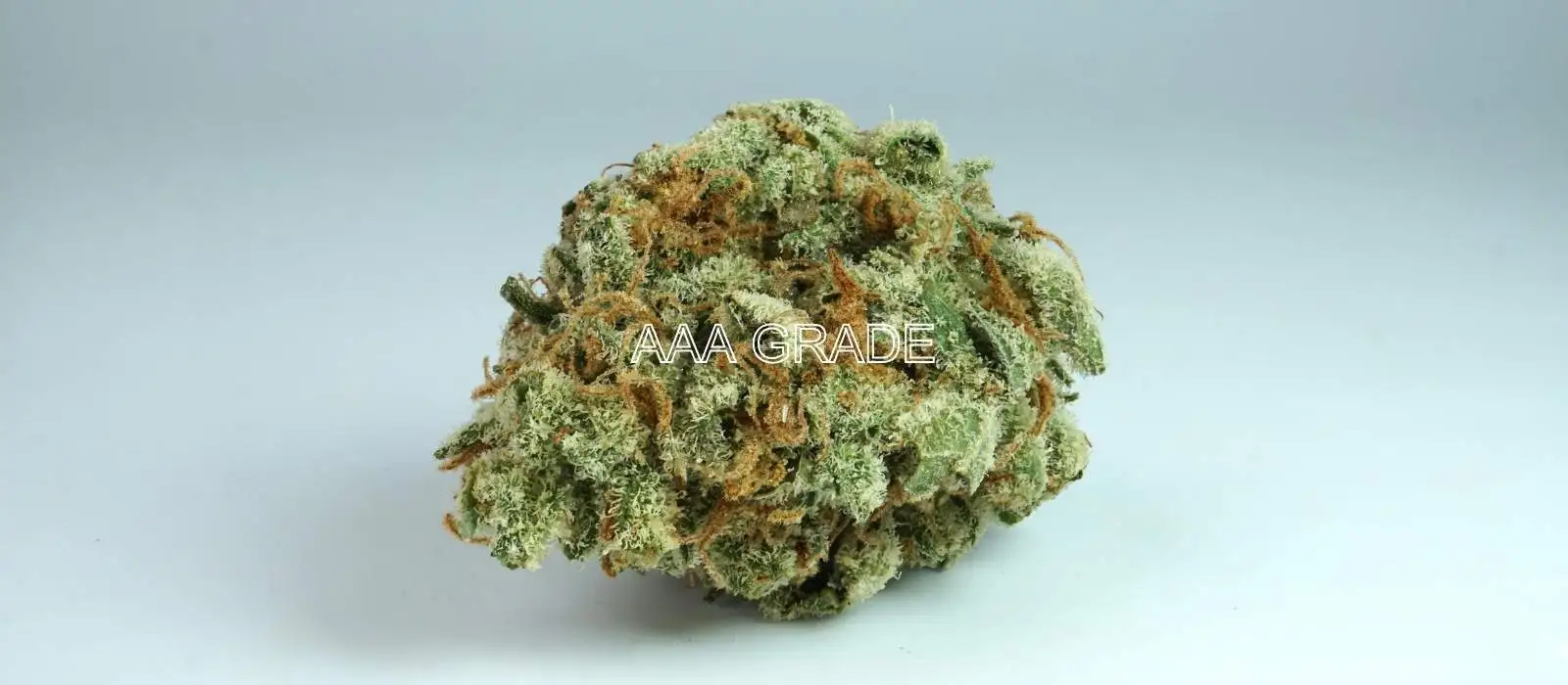 AA+ Indica Flowers