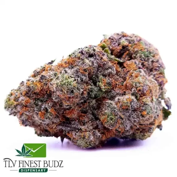 King Louis Xlll Strain