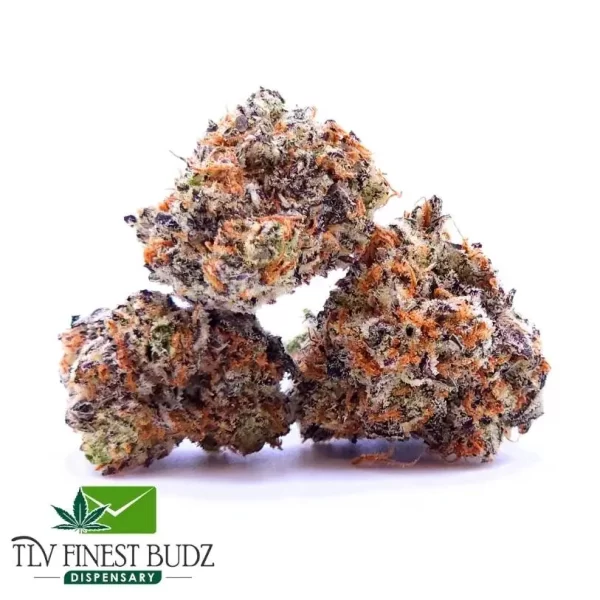 Zombie Strain
