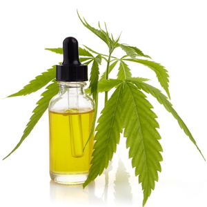 What Are Terpenes?