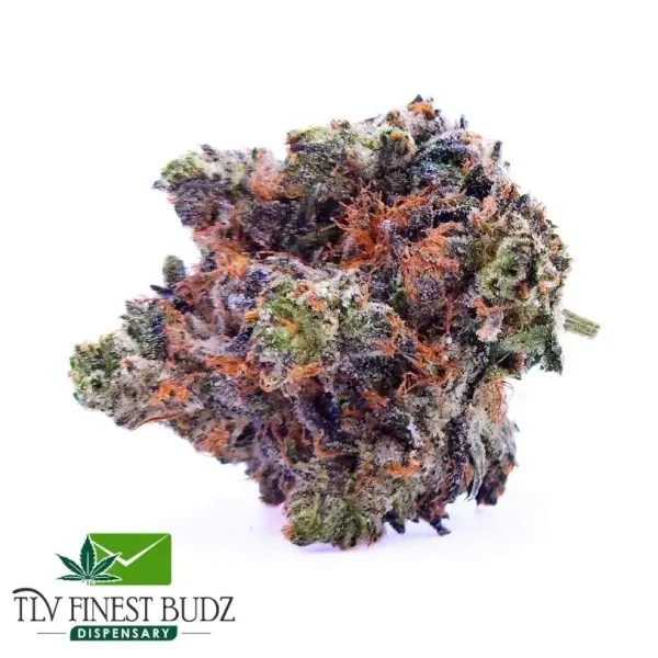 White Truffle Bud