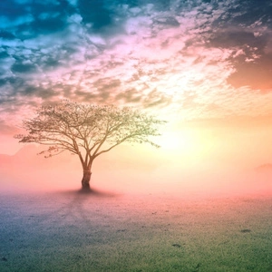 What Is Depression Really?
