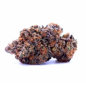 Jet Fuel Bud
