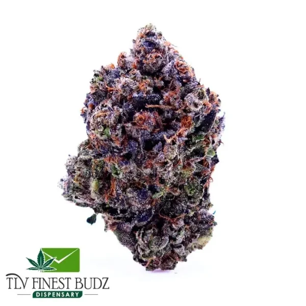 Pink Gucci TLV Finest Budz