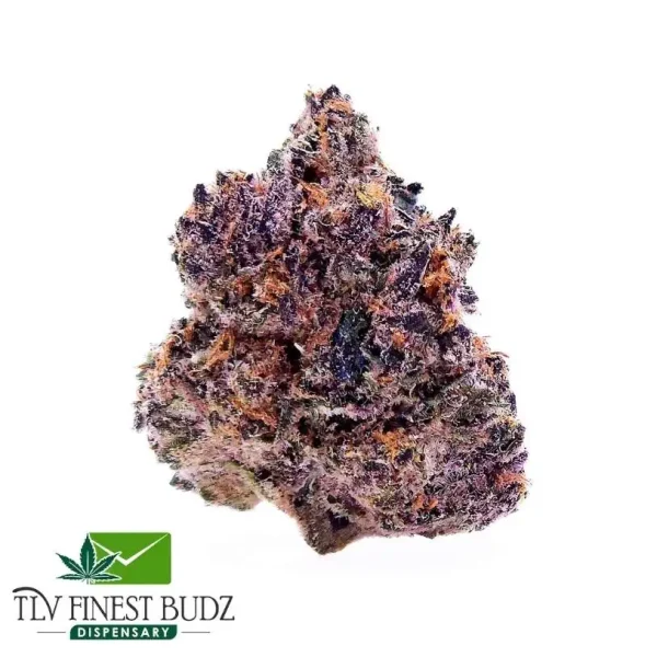 Cream Mandarin Strain