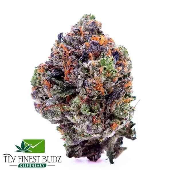 El Chapo Strain
